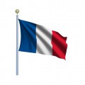 Bandiera francese 20x30